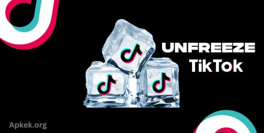 Unfreezing Your TikTok Account