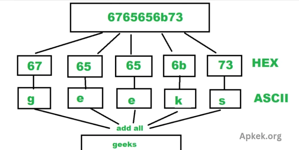 Chat Code For ASCII, BIN, OCT, HEX, BASE64 Text Encoder