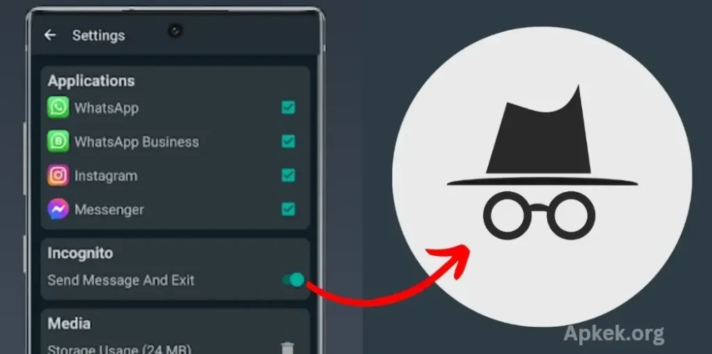 Incognito With Recover Chat
