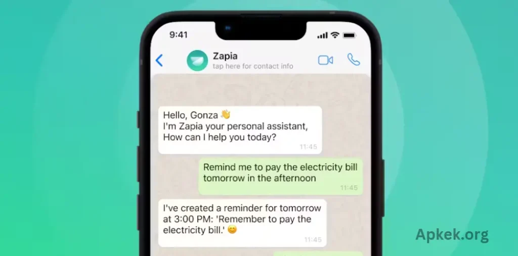 What Is Set Time Auto Reminder for WhatsApp
