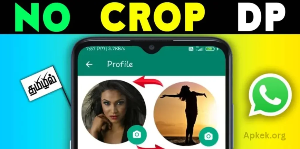 What Is No Crop DP and Status App