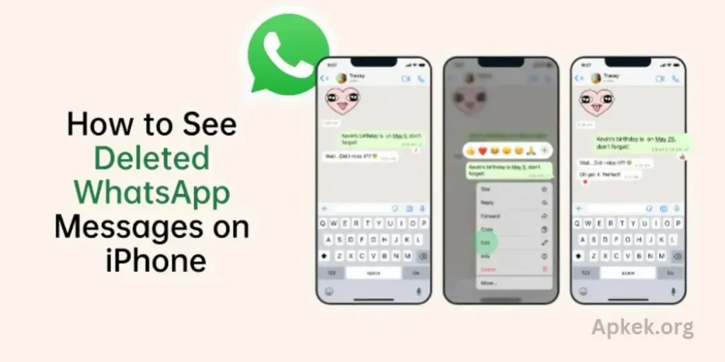 What Is See Delete Msg App