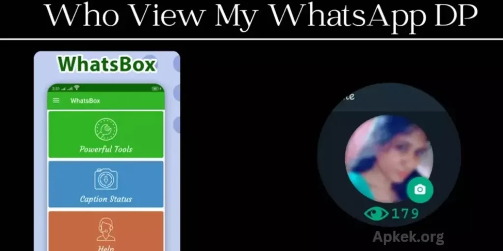 Whatsbox Tools App For WhatsApp DP & View Profile App
