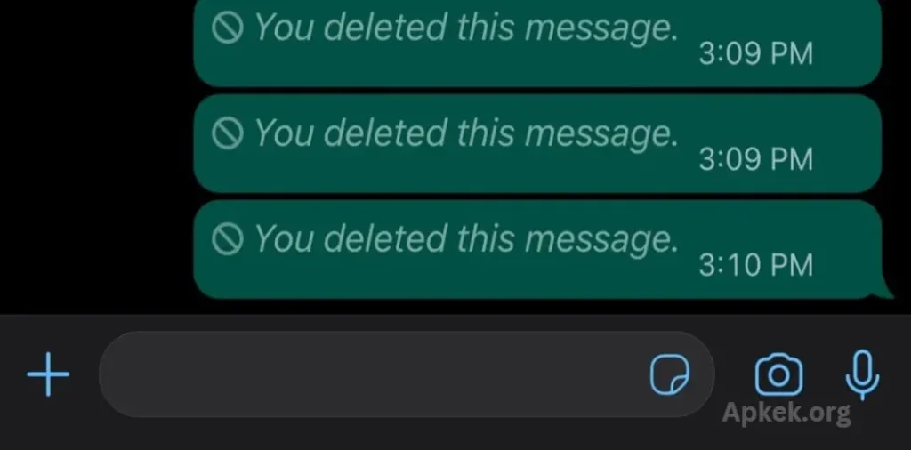 Why View Deleted Messages