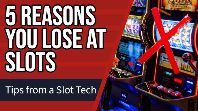 WIN55 Slots: What Keeps Players Coming Back Every Day